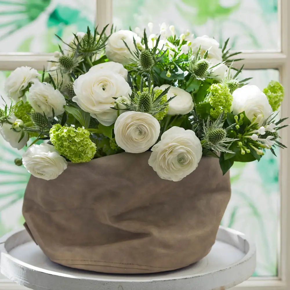 Aviv Ranunculus White - Image 2