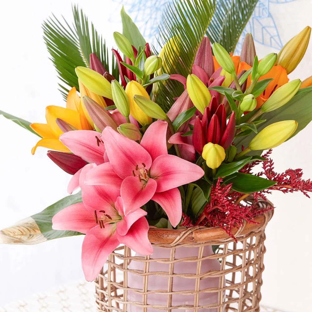 Cutflower Lily Mix - Image 2