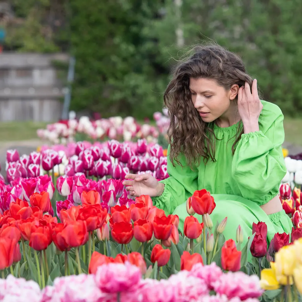 Cutflower Tulip Mix - Image 3