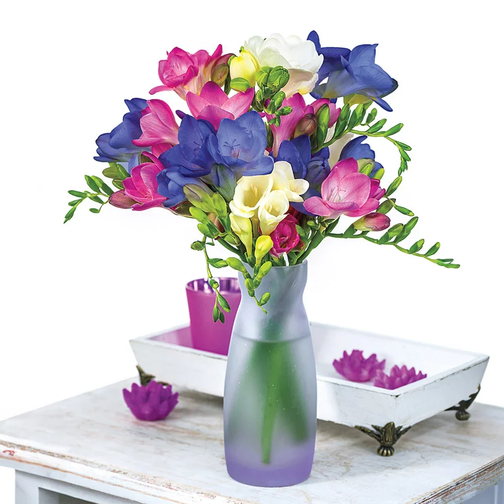 Freesia Mix - Image 3