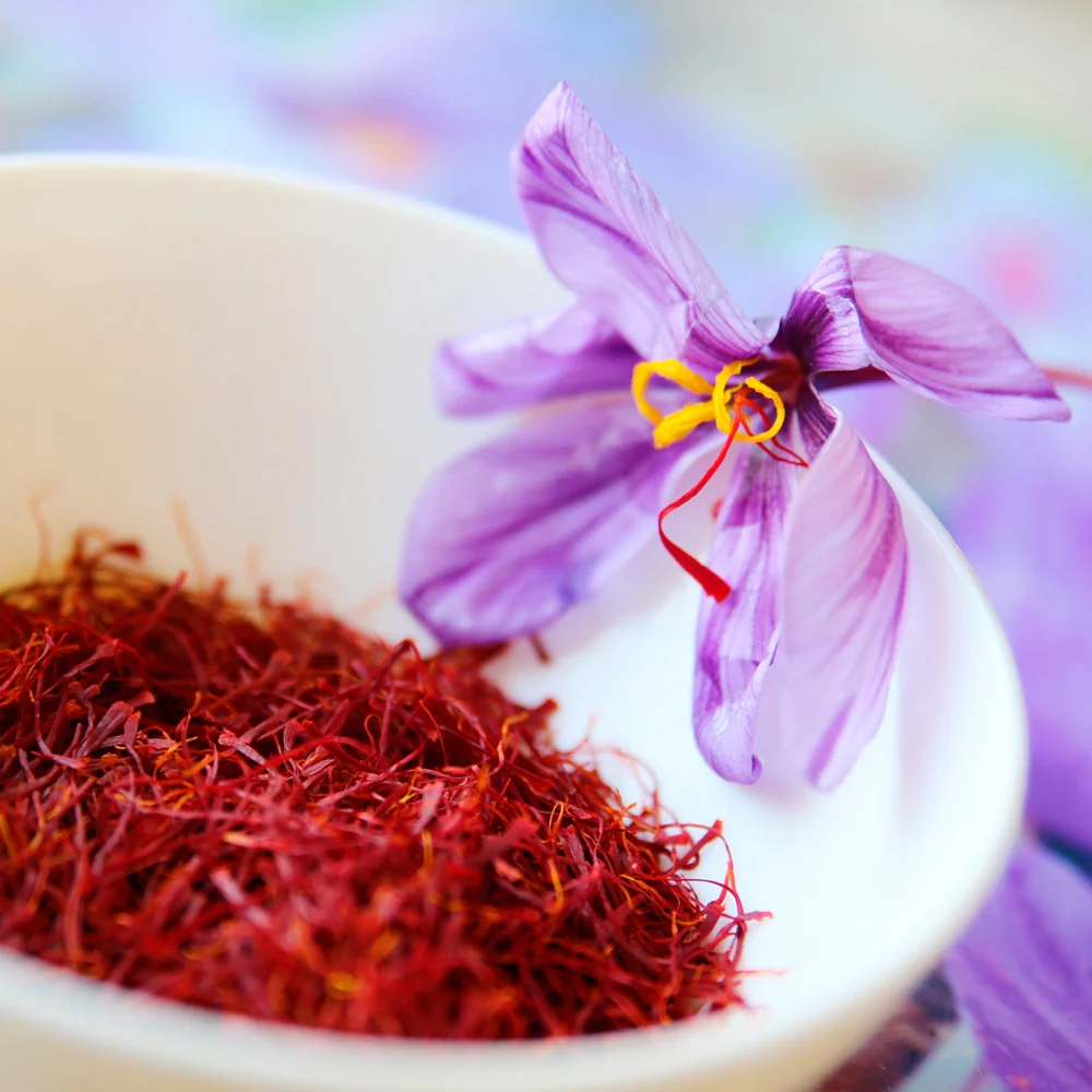 Saffron Crocus - Image 2