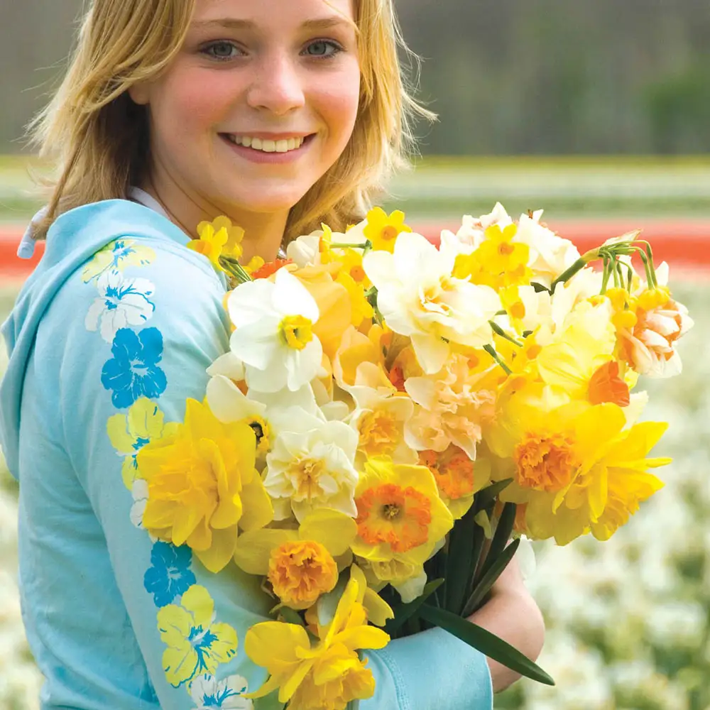 Spring Bonanza Daffodil Mixture - Image 2